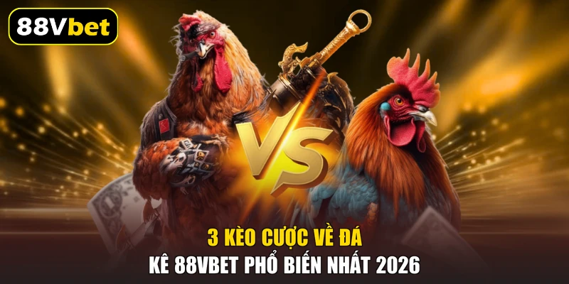 3 kèo cược về đá kê 88VBET phổ biến nhất 2026