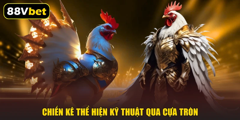 Chiến kê thể hiện kỹ thuật qua cựa tròn