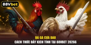 Đá Gà Cựa Dao | Cách Thức Đầy Kịch Tính Tại 88VBET 20266