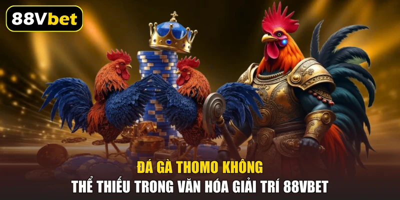 Đá gà Thomo không thể thiếu trong văn hóa giải trí 88VBET